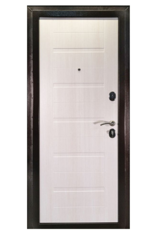 Входная дверь LEVEL