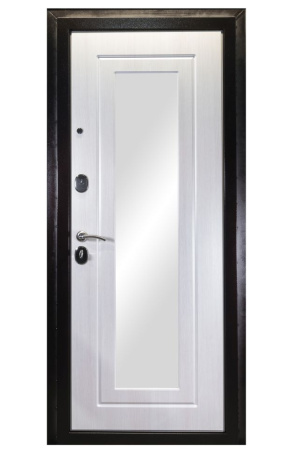 Входная дверь SPACE
