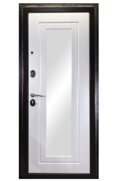 Входная дверь SPACE