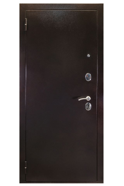 Входная дверь SPACE